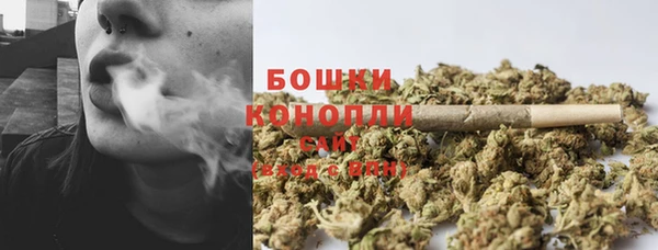 mdpv Богородицк