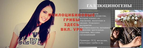 ГАЛЛЮЦИНОГЕННЫЕ ГРИБЫ Богданович