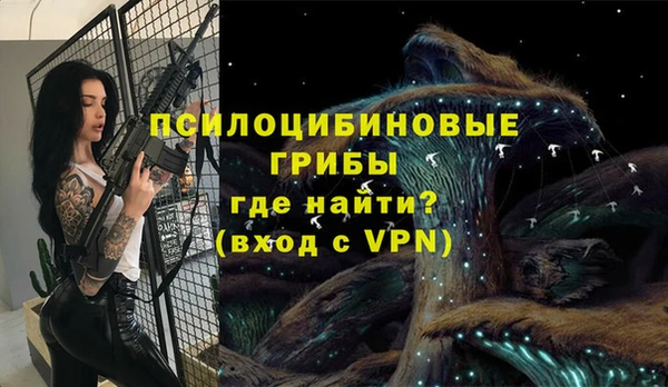 ГАЛЛЮЦИНОГЕННЫЕ ГРИБЫ Богданович