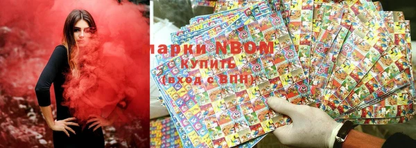 ГАЛЛЮЦИНОГЕННЫЕ ГРИБЫ Богданович