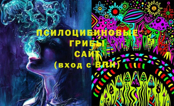 ГАЛЛЮЦИНОГЕННЫЕ ГРИБЫ Богданович
