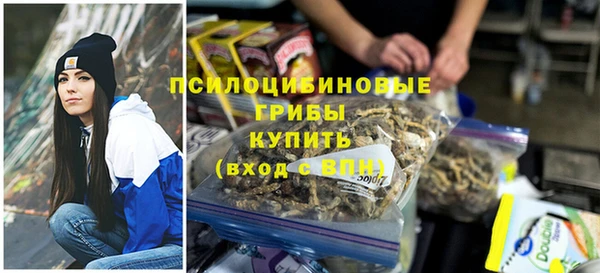ГАЛЛЮЦИНОГЕННЫЕ ГРИБЫ Богданович