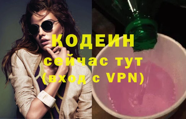 ГАЛЛЮЦИНОГЕННЫЕ ГРИБЫ Богданович