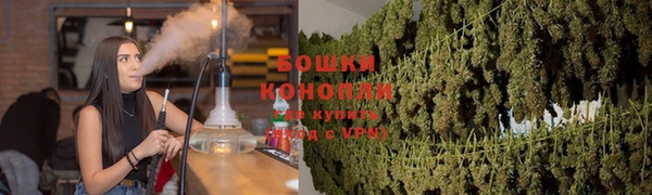 mdpv Богородицк