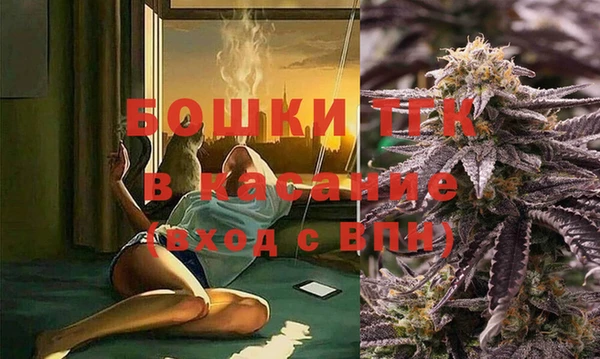 mdpv Богородицк