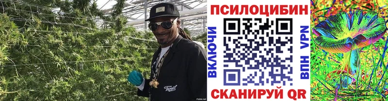 Галлюциногенные грибы GOLDEN TEACHER маркетплейс Telegram Химки